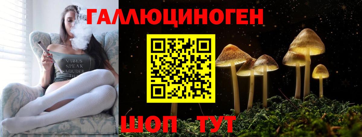 Кропоткин  Галлюциногенные грибы ЛСД  Вход с VPN 